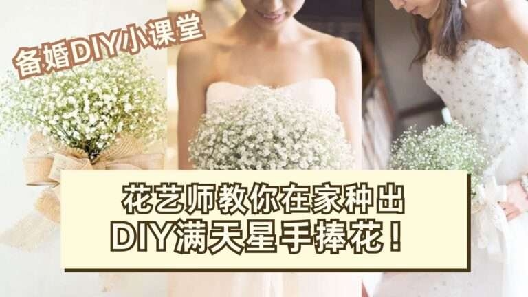 DIY婚礼手捧花：在马来西亚如何种植满天星？满天星手捧花DIY教程！