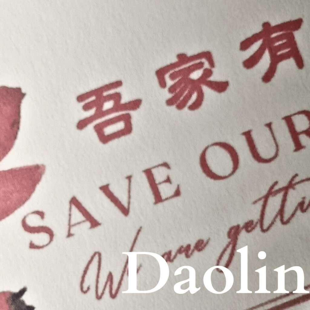 Close-up view of Daolin paper texture showcasing subtle off-white hue with printed red calligraphy and English text.